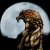 :iconDark-Ritual: