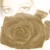 :icondark-rose89: