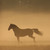 :icondark-shadow101: