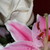:icondark-shadow12: