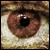 :iconDark-Stockz: