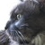 :icondark-thunder-light: