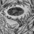 :icondark-transparancy: