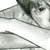 :icondark-xeist: