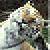 :icondark350: