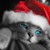 :icondark8237: