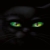 :icondarkalleycat: