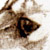 :icondarkangel-azrael: