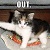 :icondarkangel222:
