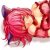 :iconDarkAngelFae: