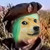 :icondarkarii: