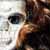 :icondarkart42: