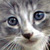 :icondarkartsmaster: