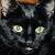 :iconDarkAvatae: