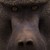 :icondarkbaboon87: