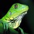 :icondarkbruster:
