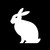 DarkBunny1997 :icondarkbunny1997: