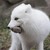DarkCherry91 :icondarkcherry91: