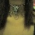 :icondarkchii671: