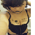 :icondarkchii671: