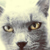 :icondarkclaudine: