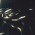 :icondarkcloud-dc: