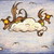 :icondarkcloudsabout: