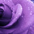 :icondarkcrimsonelixir: