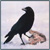 :icondarkcrowreign: