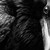 :icondarkcrowz: