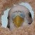 :icondarkcuddles: