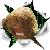 :icondarkcujo: