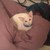 :icondarkdanc3r: