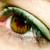 :icondarkdelilah:
