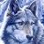 :iconDarkDemonNight: