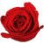 :icondarkdespair7: