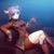 :icondarkdigidestined: