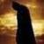 :icondarkdrakkon: