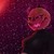 :icondarkeh12: