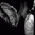 :icondarkembrace13: