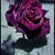 :icondarkenchantress92: