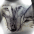 :icondarkenedwolf: