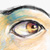 :icondarkeneyes: