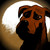 :icondarkenmind66: