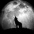 :icondarkenwolf:
