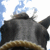 :icondarkergraphics: