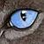 :icondarkestspider: