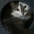 :icondarkfaust90: