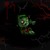:icondarkfiregandora: