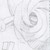 :icondarkflame20: